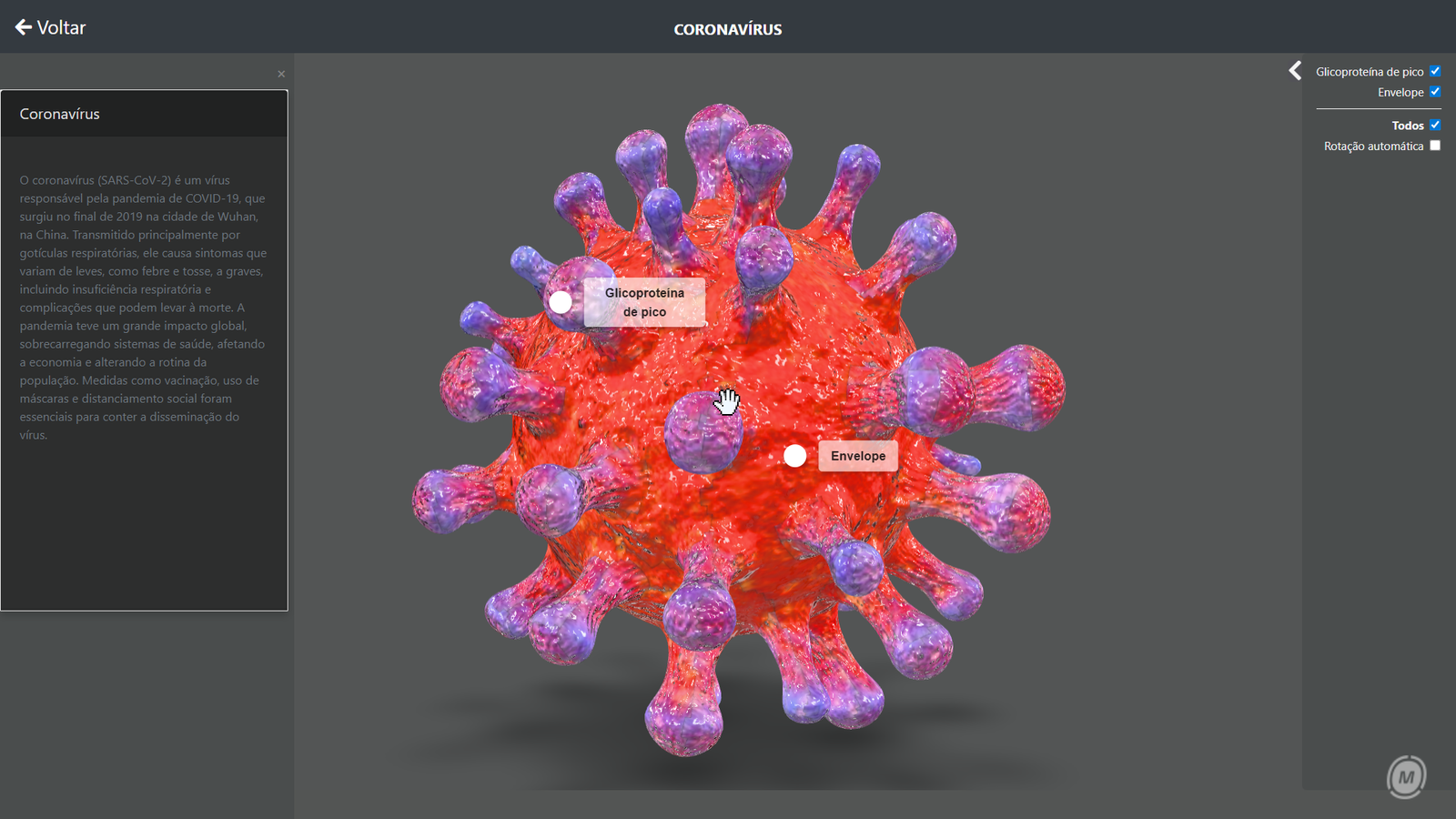 Coronavírus - COVID-19